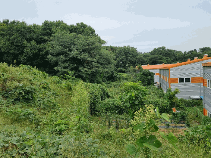 본건 기호(3) 남측에서 촬영