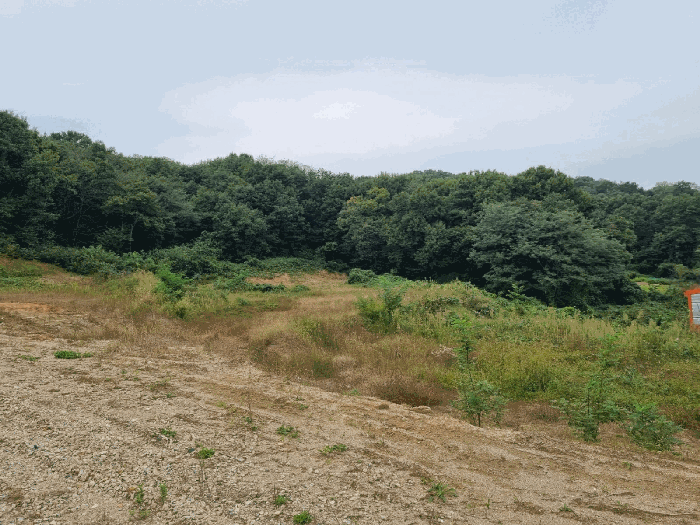 본건 기호(1) 남측에서 촬영