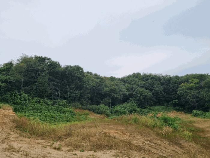 본건 기호(2) 남동측에서 촬영