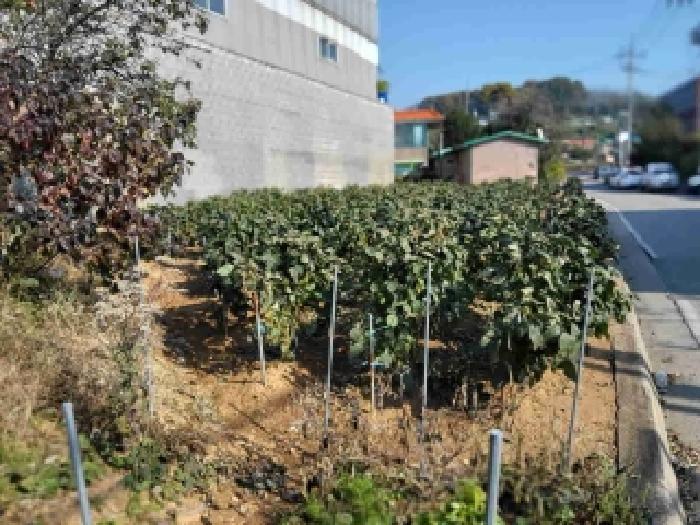 목록3.현황