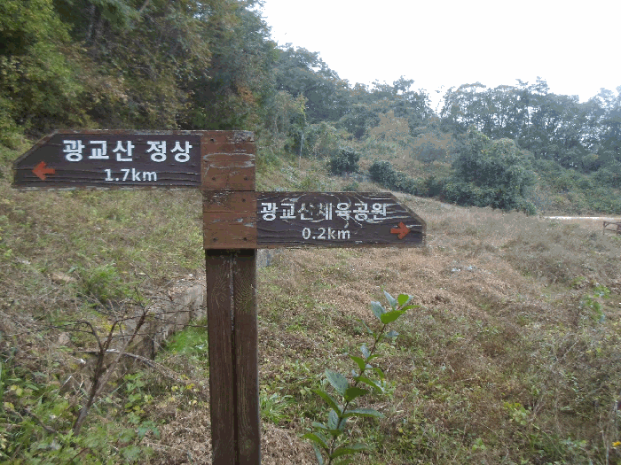 기호(1) 토지 남측 부근에서 촬영