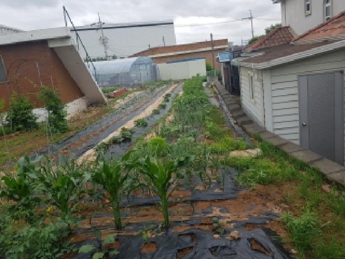 목록1 부동산 내 텃밭 전경