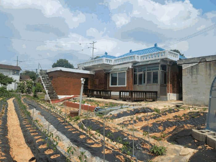 본건 전경(남측에서 촬영)