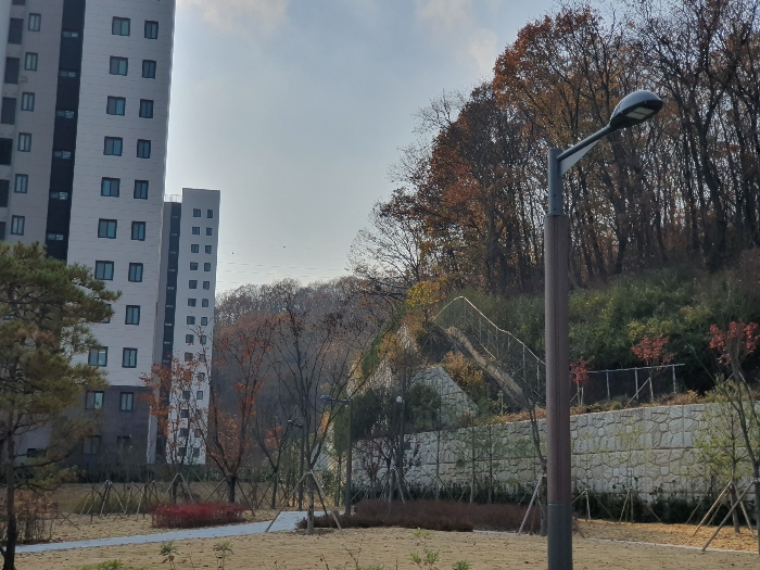 2021타경5838