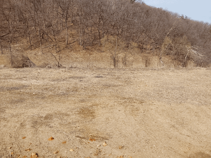 본건 전경(남측에서 촬영)
