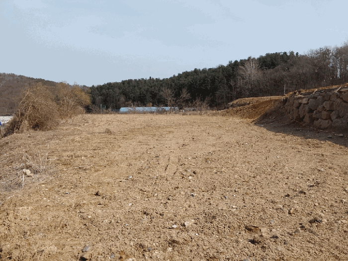 본건 전경(서측에서 촬영)