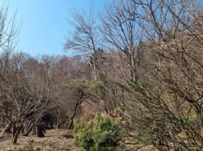 목록 1. 인근 전경