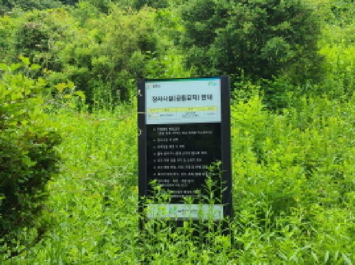본건 임야 인근 공동묘지 안내
