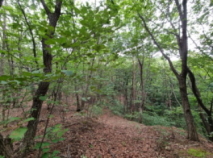 목록 1. 전경