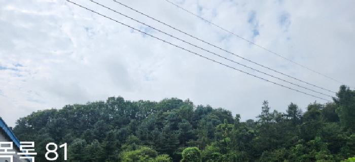목록81 전경