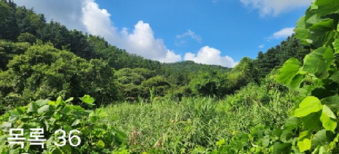 목록36 전경