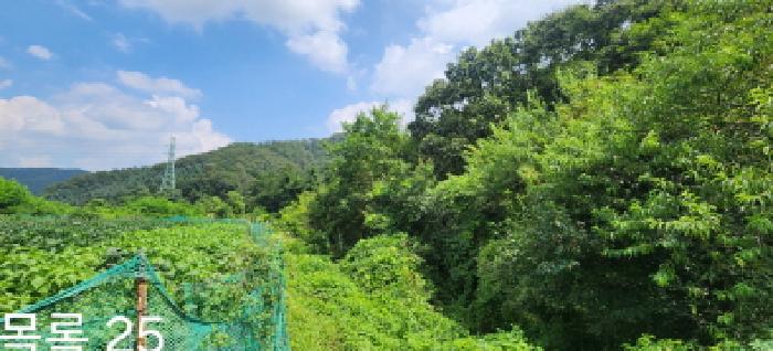 목록25 전경