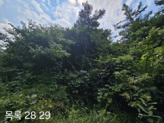 목록28,29 전경