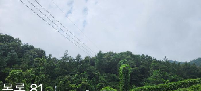 목록81 전경
