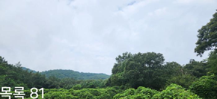 목록81 전경
