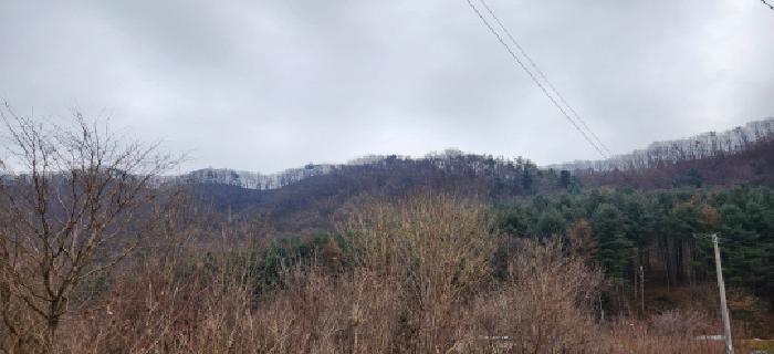 목록 전경