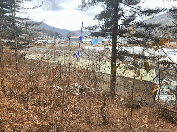 본건 북서측 지적 경계부분 소재(농업용 하우스)