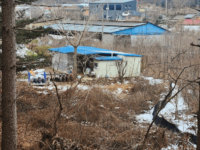 본건 북서측 지적 경계부분 소재(판넬조 건물)