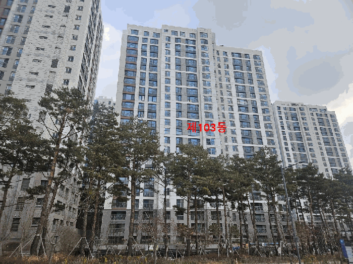 본 건 전 경