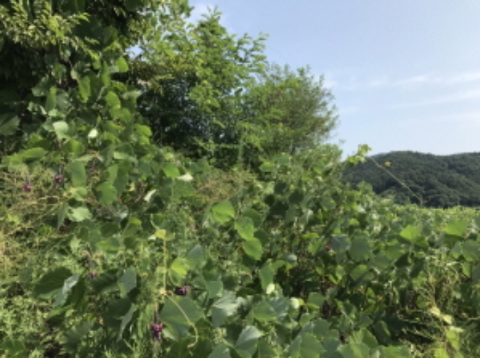 제시 목록 13 전경
