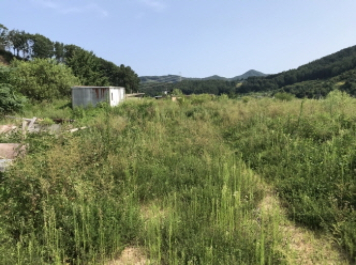 제시 목록 7 전경
