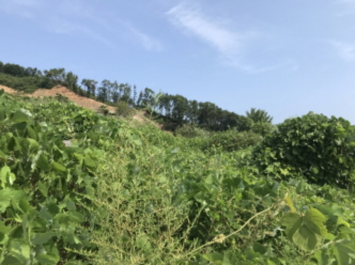 제시 목록 7 전경
