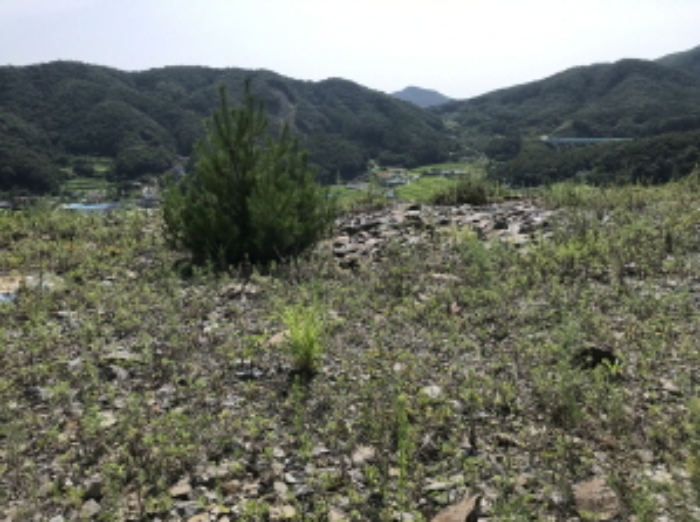 제시 목록 11 전경