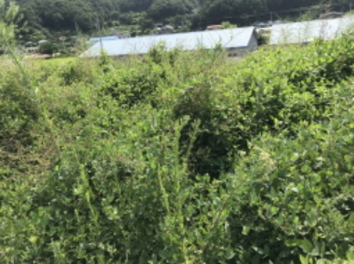 제시 목록 6 전경