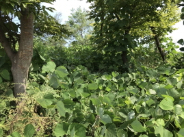 제시 목록 5 전경