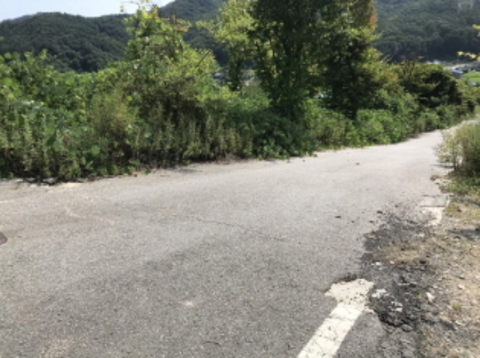제시 목록 14 전경(도로 부분)