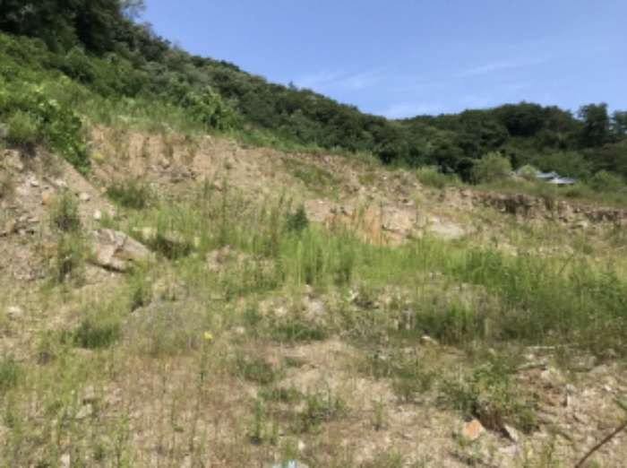제시 목록 15 전경