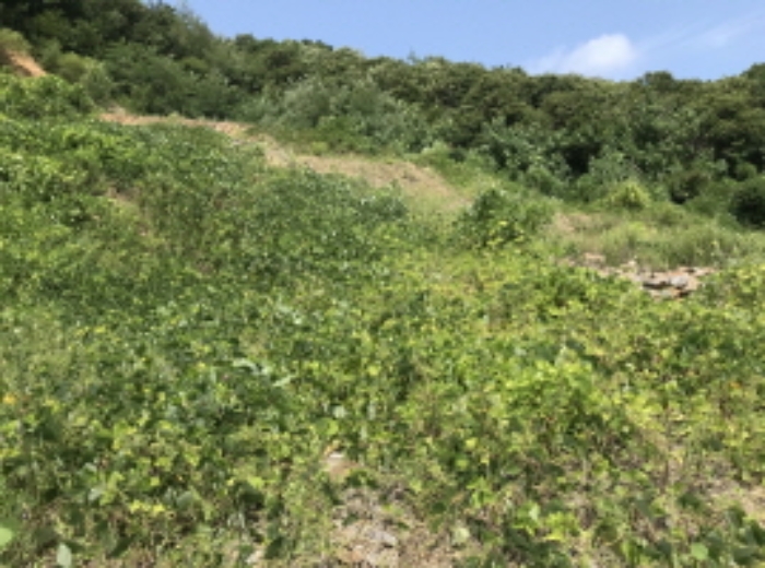 제시 목록 17 전경