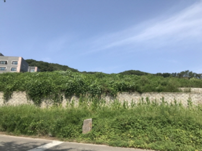 제시 목록 16 전경