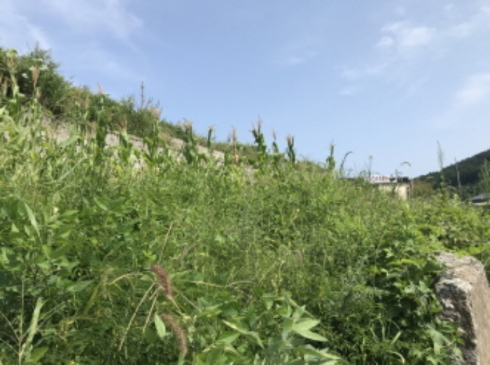 제시 목록 16 전경