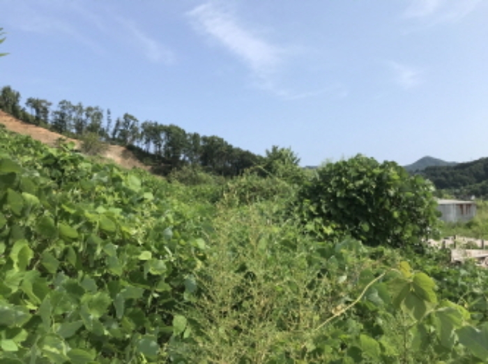 제시 목록 8 전경