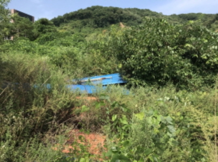제시 목록 10 전경