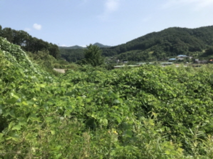 제시 목록 10 전경