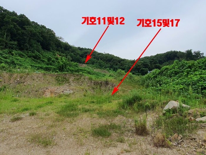 기호15,17