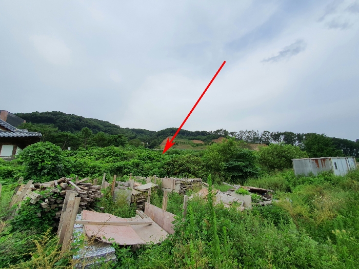 기호10
