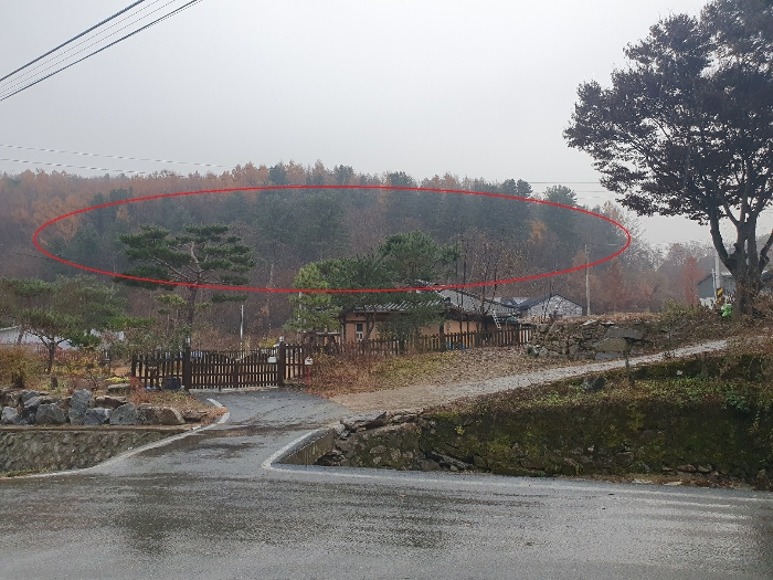 2022타경3993