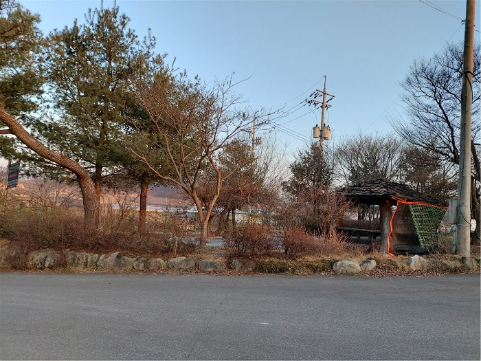 수목 전경 (2) (남서측에서 촬영)