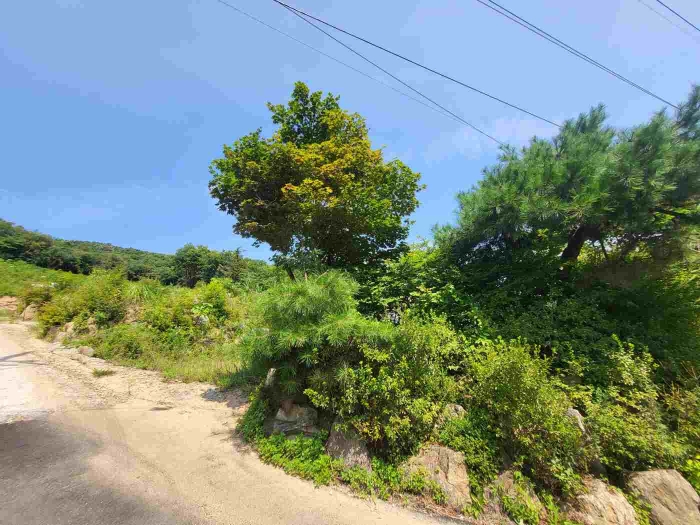 별지 목록 4 부동산 전경