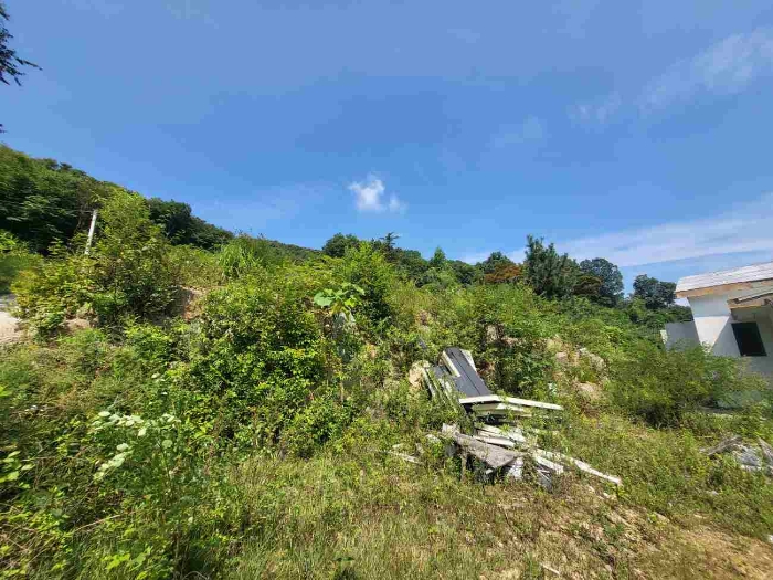 별지 목록 4 부동산 전경