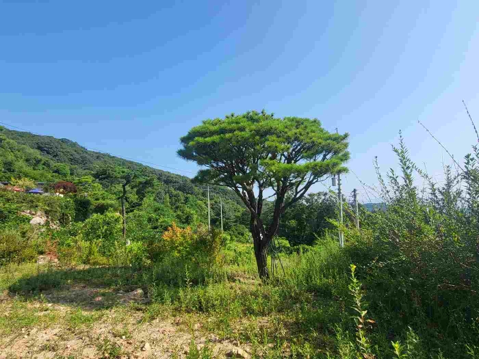 별지 목록 1 전경