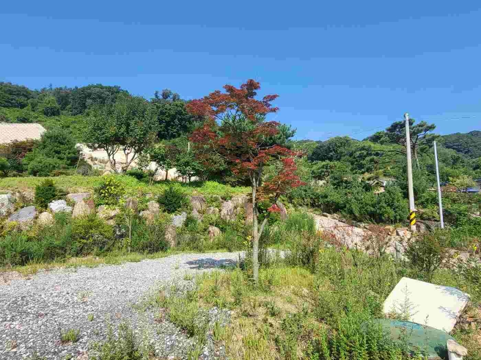 별지 목록 1 전경