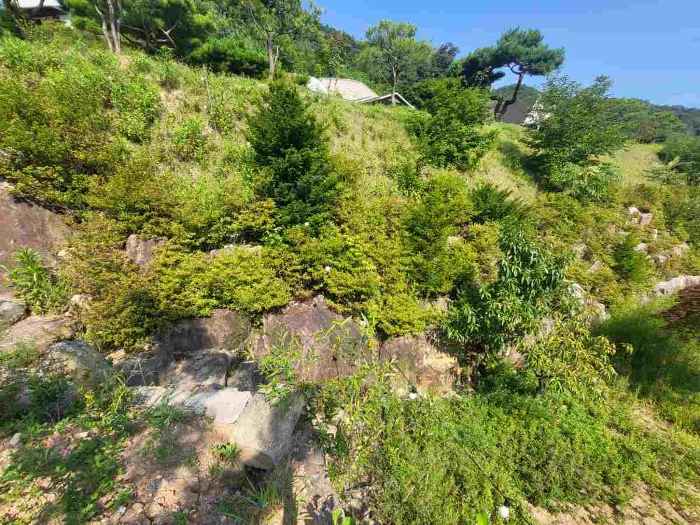 별지 목록 6 전경