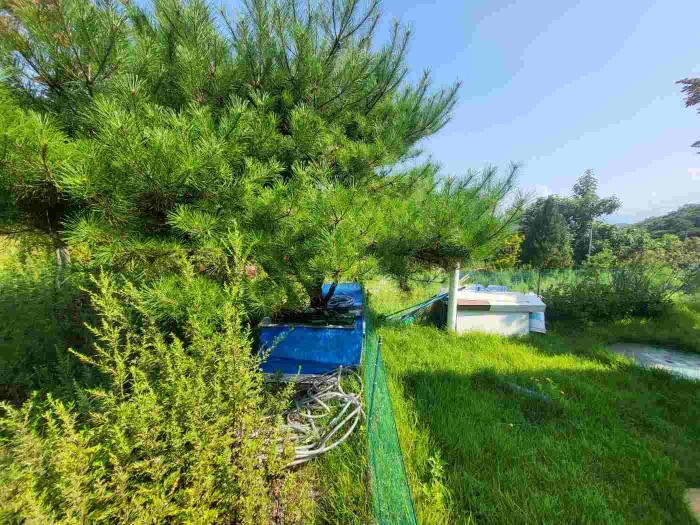 별지 목록 9 전경