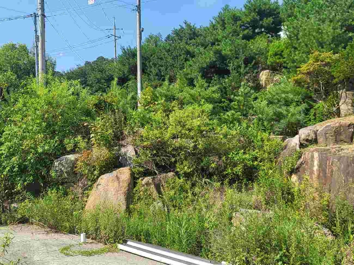별지 목록 10 전경