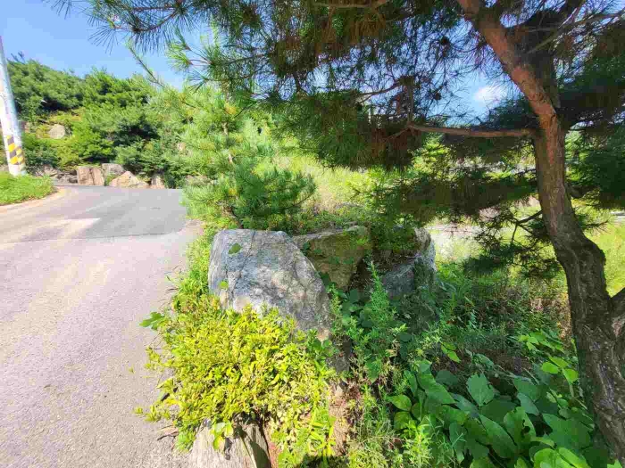 별지 목록 16 전경