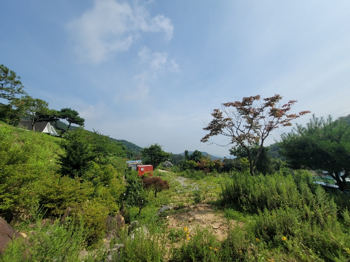 일련번호 6), 8), 11)